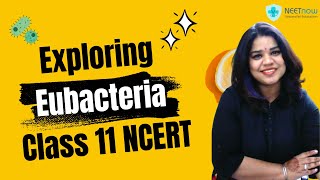 Eubacteria explained  Class 11 NCERT Biology [upl. by Irena235]