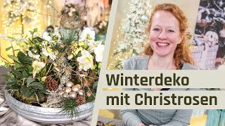 Weihnachtsdeko aussen Christrosen  Tischdeko Weihnachten [upl. by Eudoca]