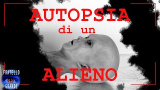 AUTOPSIA DI UN ALIENO DI PLASTILINA  FRATELLO GRANDE [upl. by Diraj]