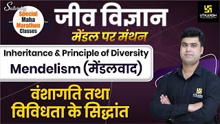 Inheritance amp Principle of Diversity  Mendelism  वंशागति तथा विविधता के सिद्धान्त  मेंडलवाद [upl. by Cally]