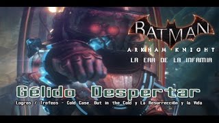 Batman Arkham Knight  La Era de la Infamia  Gélido Despertar  3 Logros  Trofeos [upl. by Rona]