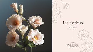 Lisianthus Sugar Flower Tutorial Gumpaste  Flower Paste [upl. by Ecinom92]