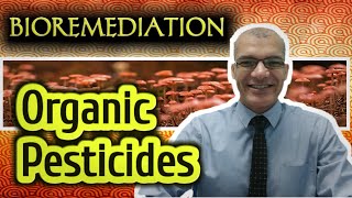 Bioremediation of Organic Pesticides [upl. by Becca]