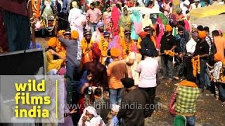 Impressive Shoba Yatra being taken out on Gurpurab eve  Delhi [upl. by Ertnom367]