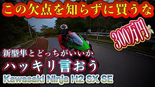 【新型H2SXSE】コレ見たら試乗せず買っていいが…欠点有るぞ【Kawasaki】 [upl. by Kam98]