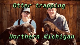 Otter trapping catches and how to catch them [upl. by Eada728]