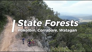 State Forests Ride through Pokolbin Corrabare amp Watagan on the DRZ400E amp CRF250L [upl. by Ahsillek]