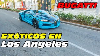 😱Estuve Con Carros Exóticos😱  LOS ANGELESUSA [upl. by Aivekahs67]