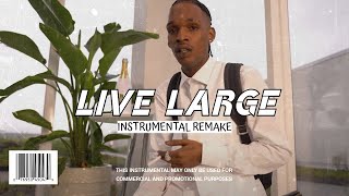 Skeng  Live Large Instrumental [upl. by Reiniar867]