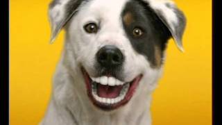 Pedigree Thailand Dog Smile Month 2011wmv [upl. by Sheila679]