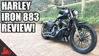 HarleyDavidson Iron 883 Sportster Review [upl. by Hillegass]