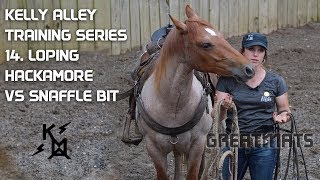 Loping Hackamore vs Snaffle Bit Horse Training Series Video 14 [upl. by Wetzel851]