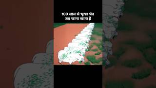 100 साल से भूखा भेड़ जब खाना खाता है 😂। Funny cartoon funny explanation memes [upl. by Erehc]