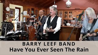 Have You Ever Seen The Rain Creedence Clearwater Revival cover by the Barry Leef Band [upl. by Bambie468]