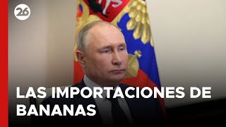 Llegó el castigo de Putin a Ecuador por quotapoyar a Ucraniaquot [upl. by Ashwin]