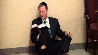 Reading of Eicha Book of Lamentations by Rabbi Moshe Weisblum קריאת מגילת איכה  הרב משה ויסבלום [upl. by Stanwood]