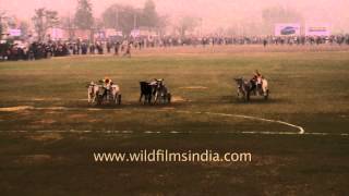 Bullock cart race a traditional sport of Punjab [upl. by Knipe]