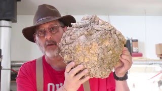 Coring Two Burl Bowls woodturning with Sam Angelo [upl. by Arik]