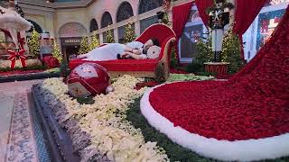 bellagio conservatory fall 2023 Christmas theme [upl. by Gowon]