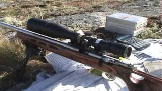 Long Range Shooting 22 LR Rimfire 400 Yards Savage Mark II BTVS [upl. by Lari]