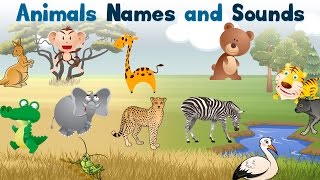 Learn Animals names in English  educational puzzle video for kindergarten Kids [upl. by Aneba]