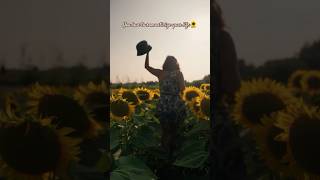 Romanticized my birthday trendingshorts sunflower ontario birthday adulting drone [upl. by Persian43]