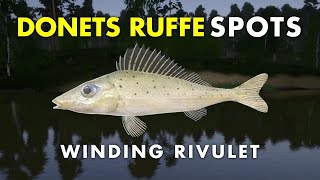 ACTIVE SPOT FOR DONETS RUFFE Winding Rivulvet [upl. by Festus]