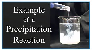 Example of a Precipitation Reaction [upl. by Ettenwad610]