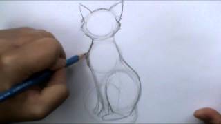 How to draw a basic cat sitting [upl. by Grosberg779]