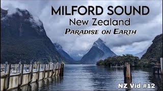 Milford Sound Cruise New Zealand  One of the most beautiful scenic place on earth  71 [upl. by Vandyke504]