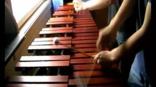 Zelda Links Awakening  Tal Tal Heights on Marimba [upl. by Ailedua598]