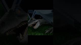 CAMP CRETACEOUS BEST BITS OF SEASON 3 9 [upl. by Allimrac791]