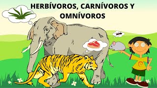 ANIMALES HERBÍVOROS CARNÍVOROS U OMNÍVOROS ANIMALES SEGÚN SU ALIMENTACIÓN [upl. by Bolte]