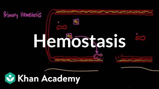 Hemostasis  Advanced hematologic system physiology  Health amp Medicine  Khan Academy [upl. by Routh]