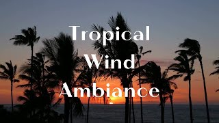 Palm Trees  Windy Sounds for Relaxation and Meditation by Soothing Clouds [upl. by Shandeigh]