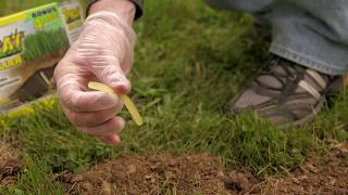 How to Get Rid of Moles Using Tomcat® Mole Killer Bait [upl. by Alwyn]