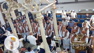 Jerusalem Day with the Temple Institutes Levitical Choir [upl. by Egap]