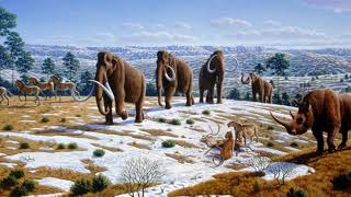 New World Pleistocene extinctions  Wikipedia audio article [upl. by Erdreid861]