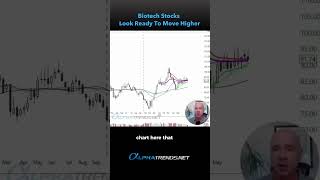 Biotech Stocks Look Ready To Move Higher July 5 2024  Brian Shannon Shorts [upl. by Pathe]