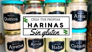 ¡CREA TUS PROPIAS HARINAS EN CASA CON OPCIONES SIN GLUTEN Transición Vegana [upl. by Costanzia573]