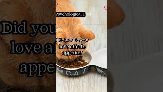 Psychological Facts  Love Affects Appetite shorts facts [upl. by Laon]