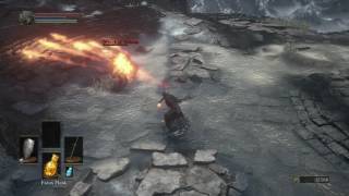 Dark Souls 3  Cornyx of the Great Swamp vs Orbeck of Vinheim [upl. by Cut]