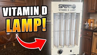 Why I Quit Vitamin D Supplements  Sperti Vitamin D Lamp Review [upl. by Anerda]