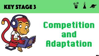 Competition and Adaptation [upl. by Nedloh]