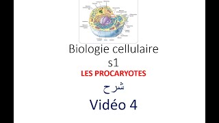 biologie cellulaire s1 vidéo 04  les procaryotes شرح [upl. by Gnem]