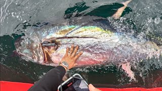 Boater Runs Over our 10000 FISH Commercial Bluefin Tuna Fishing [upl. by Luttrell256]