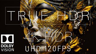 Wonderful 4K HDR 120FPS DOLBY VISION [upl. by Eittak935]