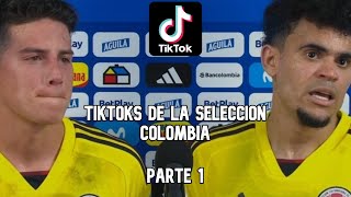 LOS MEJORES TIKTOKS DE LA SELECCION COLOMBIA [upl. by Eniamerej]