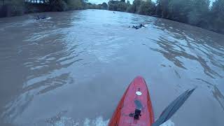 Severn bore Maisemore weir rebound wave September 12th 2018 [upl. by Johanan]