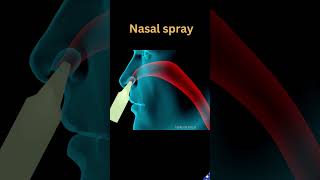 How Nasal Spray flows through your nasal passage  Nasal Spray droplets pathway medicineknowledge [upl. by Cutty]